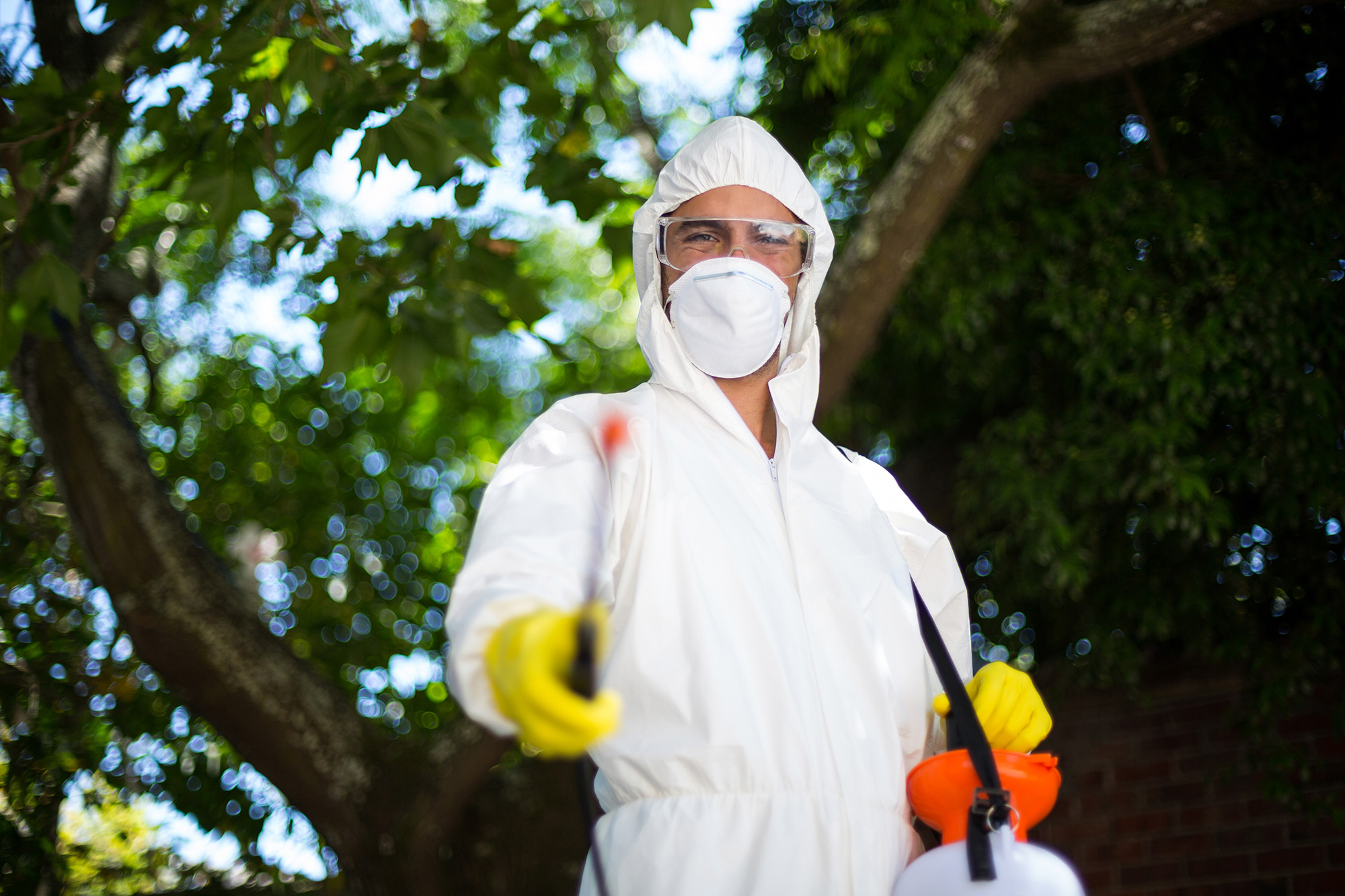 Man spraying insecticide while standing against tree in lawn